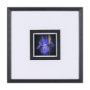 15227 - Flower Portrait IV by Mercana Studio a Hand Embellished Textured Framed Art Print Matted under Glass