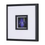 15227 - Flower Portrait IV by Mercana Studio a Hand Embellished Textured Framed Art Print Matted under Glass