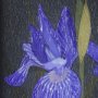 15227 - Flower Portrait IV by Mercana Studio a Hand Embellished Textured Framed Art Print Matted under Glass