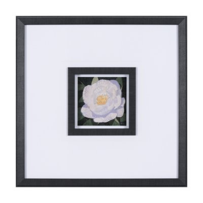 15228 - Flower Portrait V by Mercana Studio a Hand Embellished Textured Framed Art Print Matted under Glass