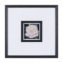 15228 - Flower Portrait V by Mercana Studio a Hand Embellished Textured Framed Art Print Matted under Glass