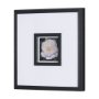 15228 - Flower Portrait V by Mercana Studio a Hand Embellished Textured Framed Art Print Matted under Glass