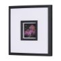 15229 - Flower Portrait VI by Mercana Studio a Hand Embellished Textured Framed Art Print Matted under Glass