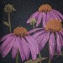 15229 - Flower Portrait VI by Mercana Studio a Hand Embellished Textured Framed Art Print Matted under Glass