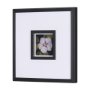15230 - Flower Portrait VII by Mercana Studio Hand Embellished Textured Framed Art Print Matted under Glass