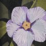 15230 - Flower Portrait VII by Mercana Studio Hand Embellished Textured Framed Art Print Matted under Glass