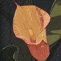 15231 - Flower Portrait VIII by Mercana Studio Hand Embellished Textured Framed Art Print Matted under Glass