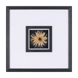 Flower Portrait IX by Mercana Studio a Hand Embellished Textured Framed Art Print Matted under Glass
