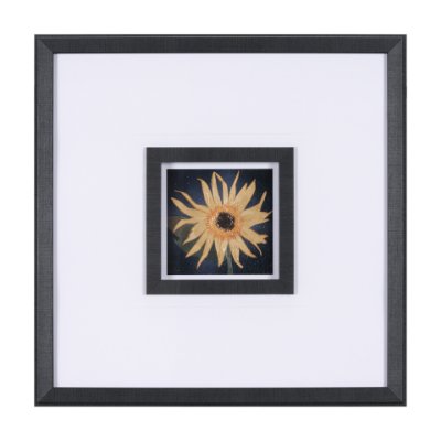 15232 - Flower Portrait IX by Mercana Studio a Hand Embellished Textured Framed Art Print Matted under Glass