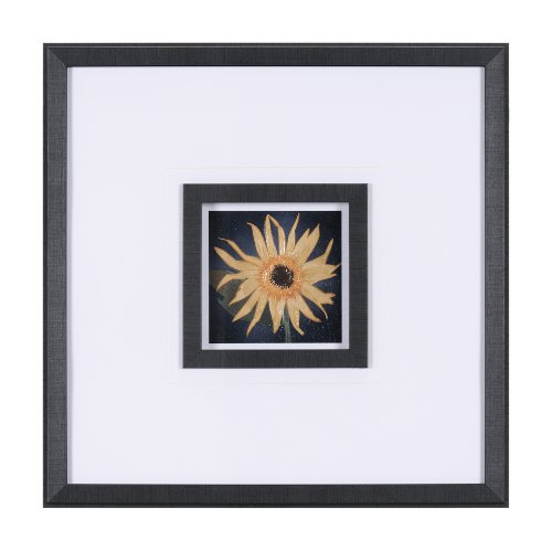 15232 - Flower Portrait IX by Mercana Studio a Hand Embellished Textured Framed Art Print Matted under Glass