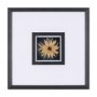 15232 - Flower Portrait IX by Mercana Studio a Hand Embellished Textured Framed Art Print Matted under Glass
