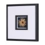 15232 - Flower Portrait IX by Mercana Studio a Hand Embellished Textured Framed Art Print Matted under Glass