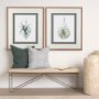 10294 - Air Plant 3 by Harvey, Brenna a Framed Art Print Matted under Glass