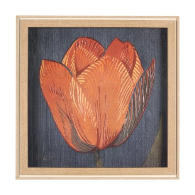 15242 - Flower Portrait II (TULIP) by Mercana Studio a Hand Embellished Textured Framed Art Print