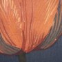 15242 - Flower Portrait II (TULIP) by Mercana Studio a Hand Embellished Textured Framed Art Print