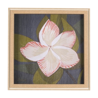15243 - Flower Portrait III (FRANGIPANI) by Mercana Studio a Hand Embellished Textured Framed Art Print