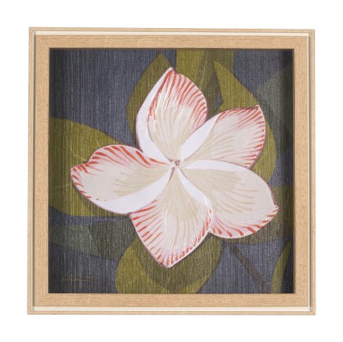 15243 - Flower Portrait III (FRANGIPANI) by Mercana Studio a Hand Embellished Textured Framed Art Print