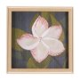 15243 - Flower Portrait III (FRANGIPANI) by Mercana Studio a Hand Embellished Textured Framed Art Print