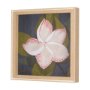 15243 - Flower Portrait III (FRANGIPANI) by Mercana Studio a Hand Embellished Textured Framed Art Print