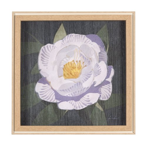 15244 - Flower Portrait V (PEONY) by Mercana Studio a Hand Embellished Textured Framed Art Print