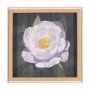 15244 - Flower Portrait V (PEONY) by Mercana Studio a Hand Embellished Textured Framed Art Print