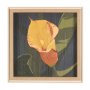 15245 - Flower Portrait VIII (CALLA LILY) by Mercana Studio a Hand Embellished Textured Framed Art Print