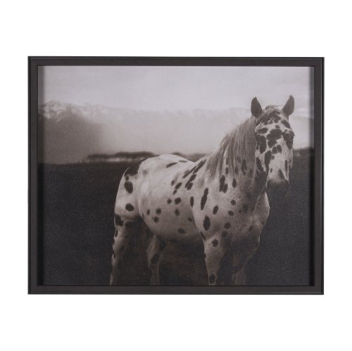 15274 - Spotted Solo Horse by Nathan Kane a Hand Embelished Textured Framed Photo Art Print