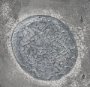 15090 - White Moon by Studio M a handmade Original Framed Artwork under Glass
