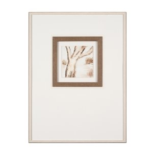 Ancient Arbutus by Studio M a handmade Original Framed Artwork under Glass
