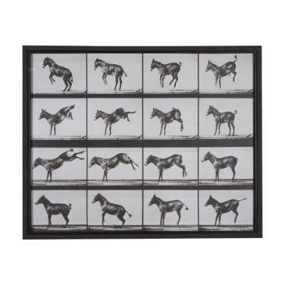 15301 - Bucking and Kicking by Eadweard Muybridge Hand Embellished Framed Art Print Matted under Glass