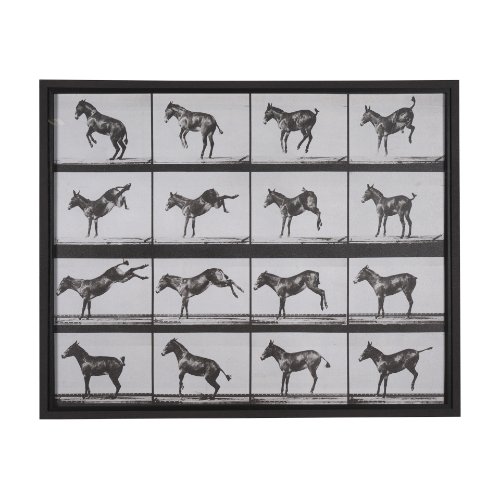 15301 - Bucking and Kicking by Eadweard Muybridge Hand Embellished Framed Art Print Matted under Glass