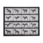 15301 - Bucking and Kicking by Eadweard Muybridge Hand Embellished Framed Art Print Matted under Glass
