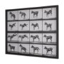15301 - Bucking and Kicking by Eadweard Muybridge Hand Embellished Framed Art Print Matted under Glass