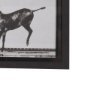 15301 - Bucking and Kicking by Eadweard Muybridge Hand Embellished Framed Art Print Matted under Glass