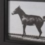 15301 - Bucking and Kicking by Eadweard Muybridge Hand Embellished Framed Art Print Matted under Glass