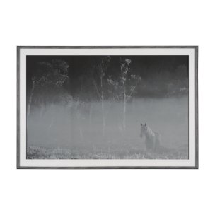 Quiet Morning by Matt Roseveare a Framed Photo Art Print Matted under Glass