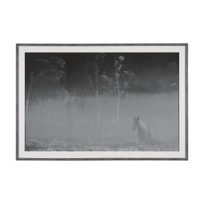 15320 - Quiet Morning by Matt Roseveare a Framed Photo Art Print Matted under Glass