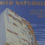 15282 - Zion National Park by The Vinatage Collection a Framed Art Print Matted under Glass