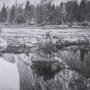 15292 - Mirror View by Carleton E Watkins a Hand Embellished Textured Framed Photo Art Print