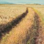 15319 - Between The Fields by Matt Roseveare a Hand Embellished Textured Framed Photo Art Print Matted under