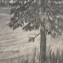 15407 - Northern Forest II by Mercana Studio a Hand Embelished Textured Framed Art Print