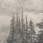 15407 - Northern Forest II by Mercana Studio a Hand Embelished Textured Framed Art Print