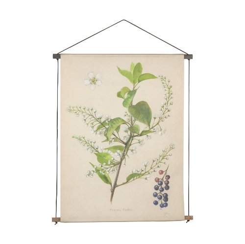 15408 - Botanical Study-Prunus Padus by Mercana Studio a Hand Embelished Textured Framed Art Print