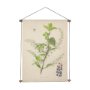 15408 - Botanical Study-Prunus Padus by Mercana Studio a Hand Embelished Textured Framed Art Print
