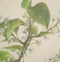 15408 - Botanical Study-Prunus Padus by Mercana Studio a Hand Embelished Textured Framed Art Print