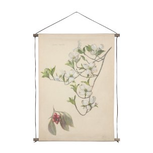 Botanical Study-Cornus Florida by Mercana Studio a Hand Embelished Textured Framed Art Print