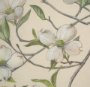 15409 - Botanical Study-Cornus Florida by Mercana Studio a Hand Embelished Textured Framed Art Print