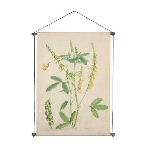 15410 - Botanical Study-Melilotus Officinalis by Mercana Studio a Hand Embelished Textured Framed Art Print