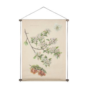 Botanical Study-Malus Sylvestris by Mercana Studio a Hand Embelished Textured Framed Art Print