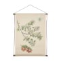 15411 - Botanical Study-Malus Sylvestris by Mercana Studio a Hand Embelished Textured Framed Art Print
